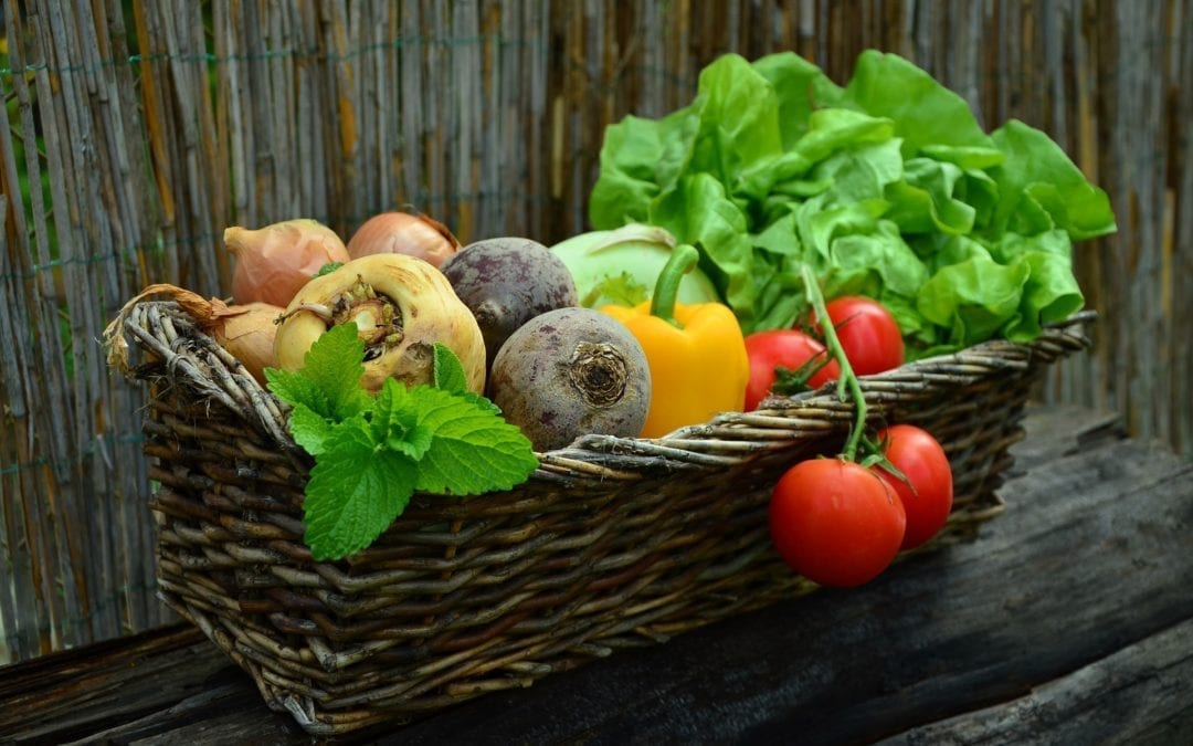 étude de marché fruits et légumes