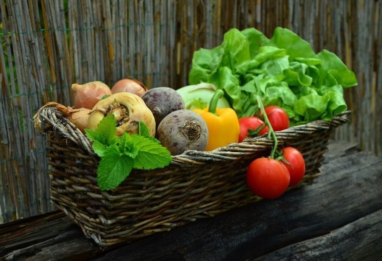 Point sur l’économie et la qualité de nos fruits et légumes