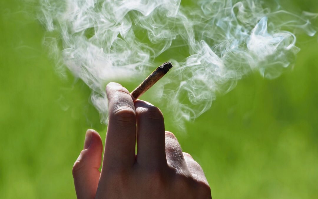 Consommation du cannabis au Maroc