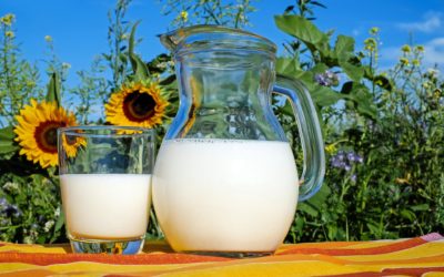 Marché du lait: un an après le boycott, la guerre bat son plein