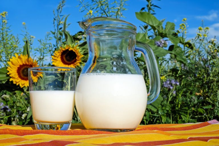 Marché du lait: un an après le boycott, la guerre bat son plein