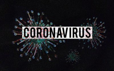 Moroccan Internet users and coronavirus (live results)