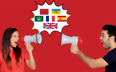 Langues et contextes d’utilisation pour les internautes marocains