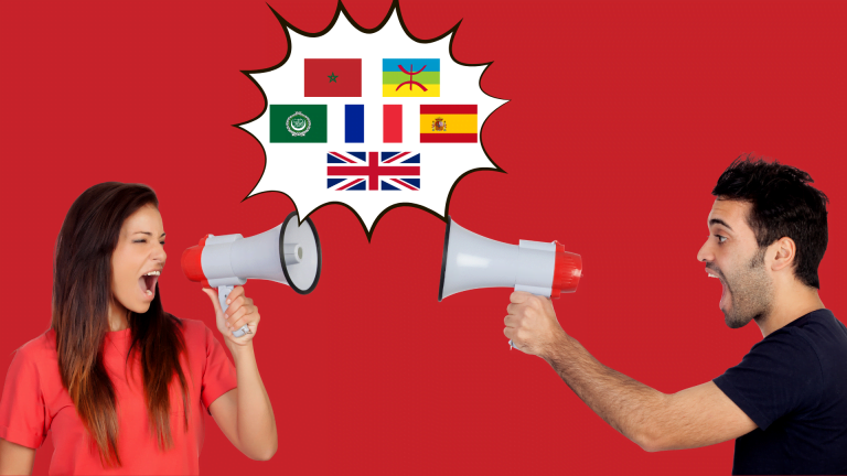 Langues et contextes d’utilisation pour les internautes marocains