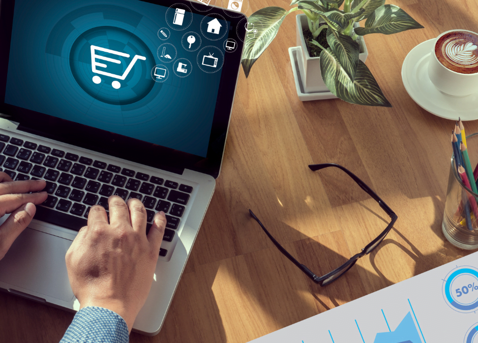 profil des nouveaux eshoppers _ sunergia études