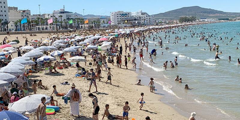 Impact de la crise sur les plans de voyage
