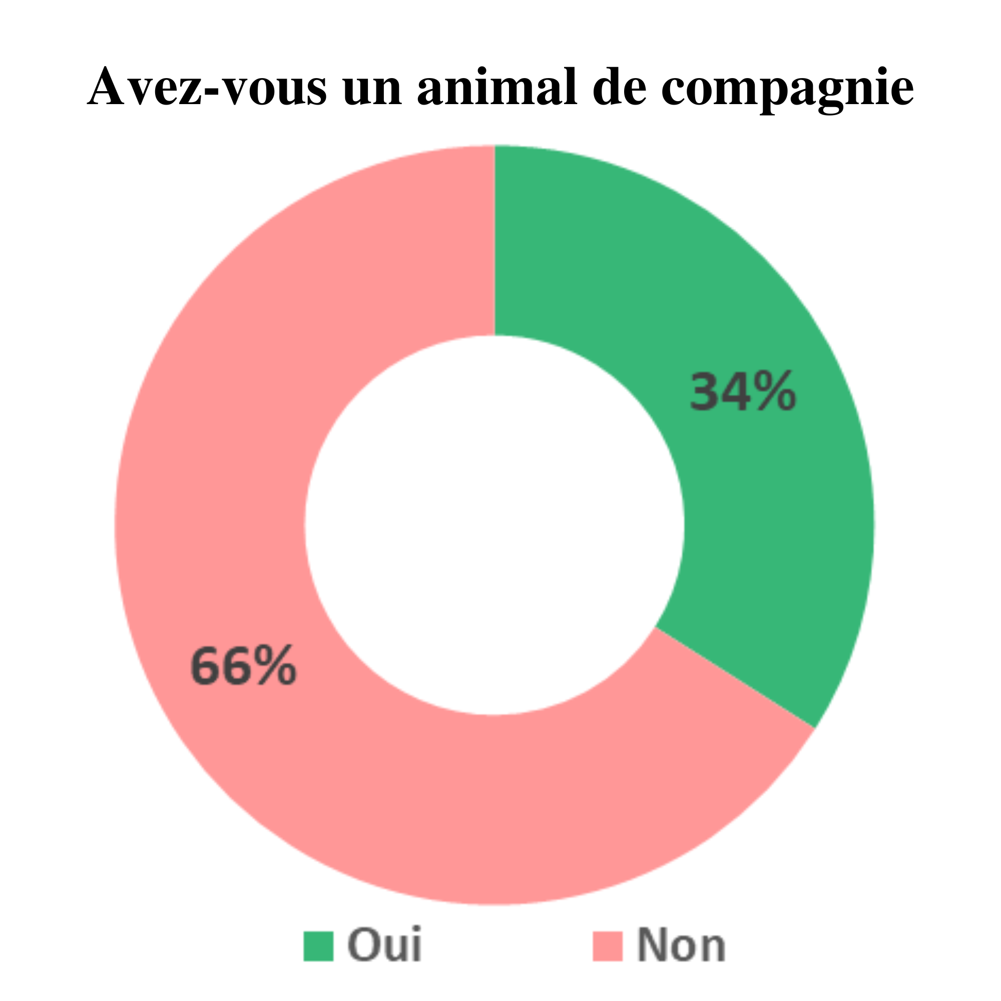 Les Marocains et les aniamux de compagnie