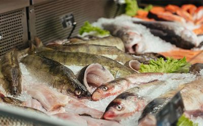 Disponibilité du poisson: des avis partagés chez les Marocains